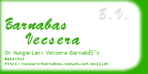 barnabas vecsera business card